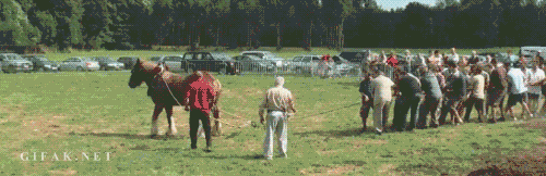 36276500845adfc9582f6e363dc3433a_37776_1.gif