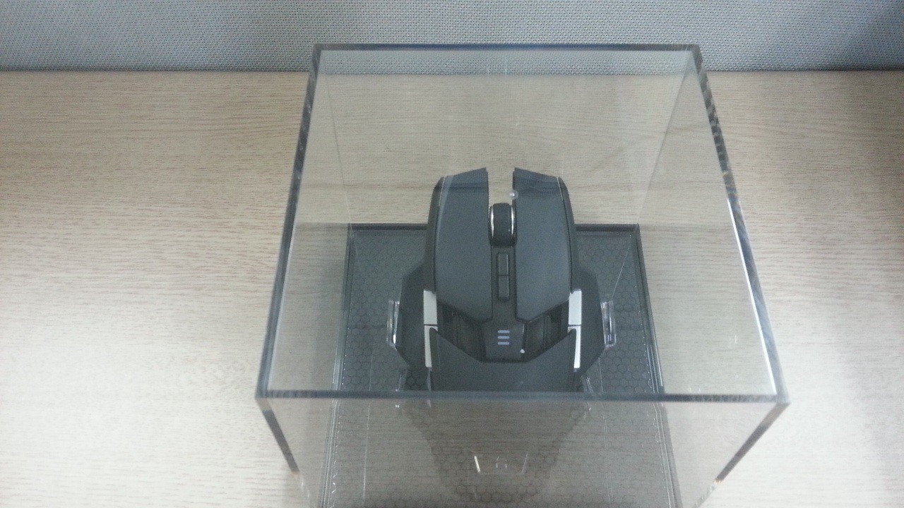 mouse2.jpg