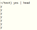 bash_yesno_3.png