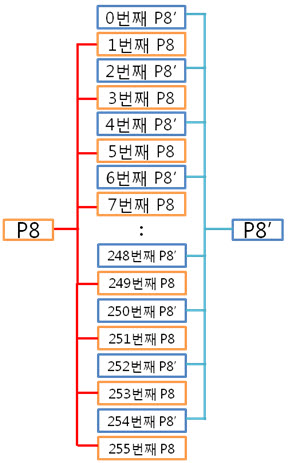 13. 256byte P8, P8'.jpg